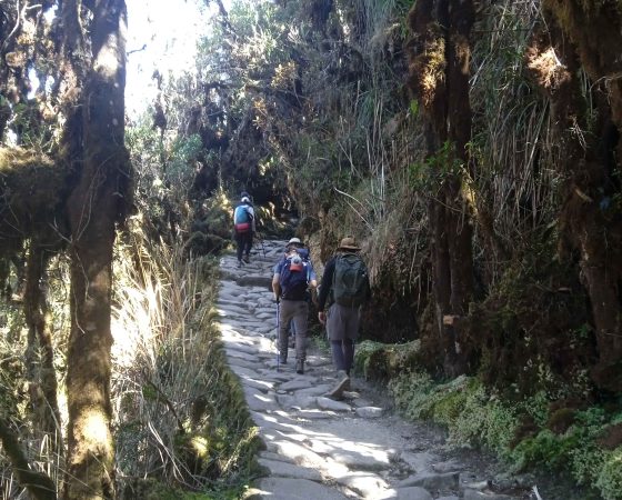 inka jungle a machupicchu 4 d y 3n