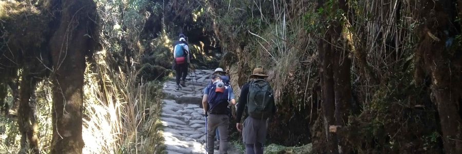 inka jungle a machupicchu 4 d y 3n